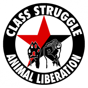 class-struggle-pantheres
