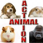 animal_action_logo